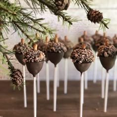 chocolate candies with pine cones and nuts on them are arranged in rows, along with pine cones