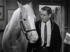 a man standing next to a horse in a room