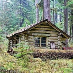 an old log cabin in the woods surrounded by trees