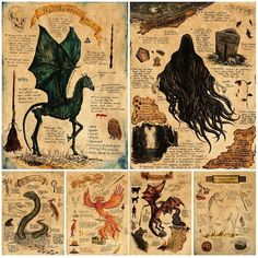 an image of some drawings on paper with animals and things in them that look like they are from the book harry potter