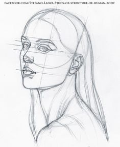 a drawing of a woman's face with lines drawn on the side of her head