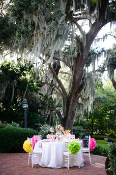 a table set up for an outdoor party under a large tree with spanish moss hanging from the branches