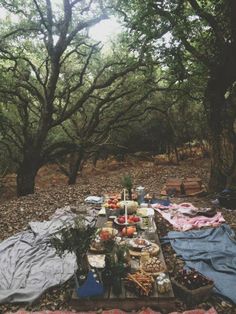 a picnic is set up in the woods with food and drinks on it, along with blankets