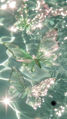 two butterflies floating on top of water in the sunlit waterside, with sparkling bubbles