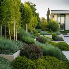 an outdoor garden with trees, bushes and concrete planters in front of a house