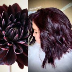 Dark Purple Hair Color Ideas, Longbob Hair, Dark Purple Hair Color, Purple Hair Color Ideas, Purple Hair Color, Dark Purple Hair, Wine Hair