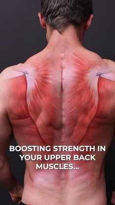 the back of a man with muscles highlighted and text reading, booster strength in your upper back muscles