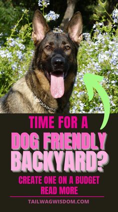 a dog with its tongue hanging out in front of some flowers and the words time for a dog friendly backyard? create one on a budget read more