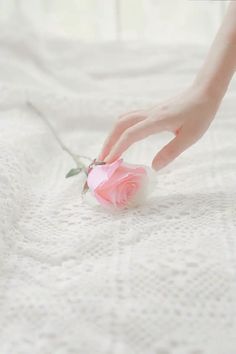 a person's hand reaching for a pink rose on a white bed sheet with crocheted lace