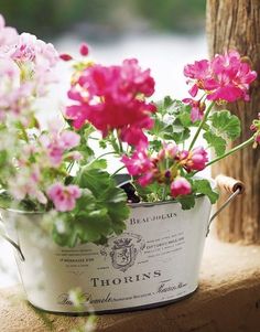 some pink flowers are in a white bucket