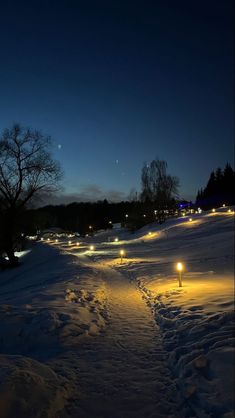 the path is covered with snow and lit up by street lights at night time,