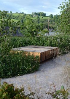 a wooden bench sitting in the middle of a lush green field