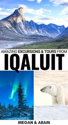 the cover of an amazing excursion and tours from iguaut