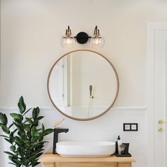 a bathroom with a sink, mirror and potted plant on the counter in front of it