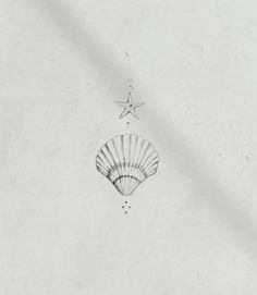 an ink drawing of a seashell and starfish