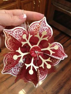 a person is holding a red and white flower