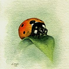 a watercolor painting of a ladybug sitting on top of a green leaf