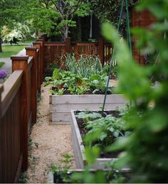 an outdoor garden area with various plants and wooden fenced in areas around the yard