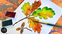 an acrylic painting of leaves and acorns with watercolor pencils