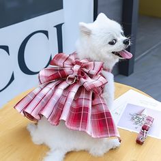 a small white dog sitting on top of a table wearing a red and white bow