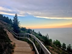 a wooden path leading down to the ocean at sunset or dawn with trees and bushes on either side