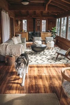 a husky dog standing in the middle of a living room filled with furniture and decor