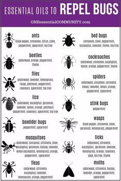 Essential Oils For Stink Bugs, Anti Spider Spray, Diy Peppermint Oil Bug Spray, Organic Bug Spray For Vegetable Garden, Bug In Prepping, Bug Repellent Diy, Homemade Bug Spray Recipe, Homemade Bug Spray