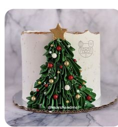 a decorated christmas tree cake on a plate