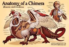 the anatomy of a chimera with all its parts labeled in this cartoon style