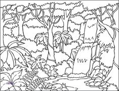 a coloring page with trees and plants in the jungle, black and white illustration for adults