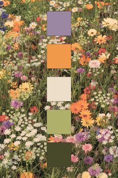 a field full of different colored flowers with squares in the middle and one square at the bottom