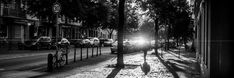 the sun shines brightly through the trees in this black and white photo, along a city street lined with parked cars