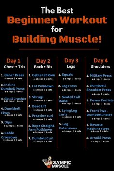 the best beginner workout for building muscles - day 1, day 3 and day 4