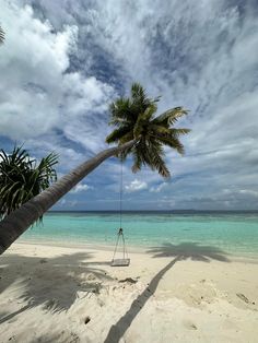 a hammock hanging from a palm tree on the beach