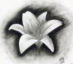 a pencil drawing of a flower on a white paper