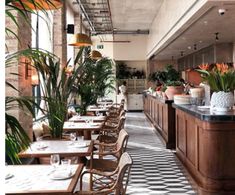 a restaurant with tables and chairs lined up against the wall, along with potted plants