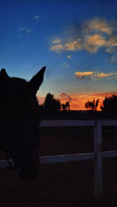 the silhouette of a horse's head over a fence at sunset with clouds in the background