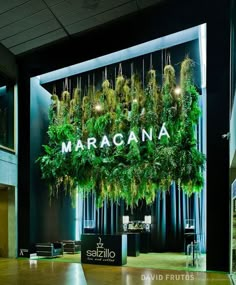 a store front with plants hanging from it's sides and the words marocana on