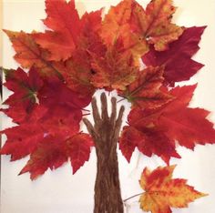 a bunch of leaves that are on top of a white board with the words autumn written in it