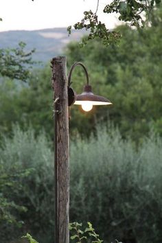 an old fashioned light hanging from a wooden pole in front of some bushes and trees