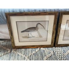 two framed birds are sitting on the floor in front of a blue blanket and pillow