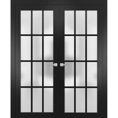 a black double door with frosted glass and two sidelights on the top half