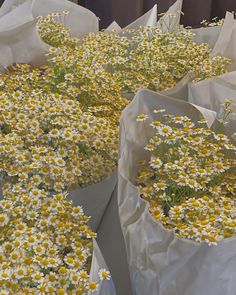 several bags filled with white and yellow flowers