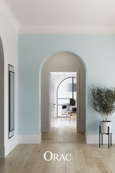 an archway leading into a living room with blue walls and wood floors, along with a potted plant