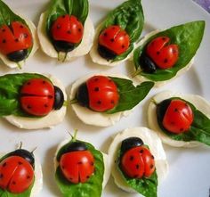 the ladybugs are on top of tortilla shells with spinach leaves