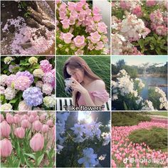 several different pictures of flowers and plants with the words, i'll like flowers