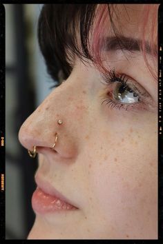 Double Nose Piercing + Septum piercing Nose Piercing On A Big Nose, Long Nose Septum Piercing, Interesting Nose Piercings, Nose Piercing On Crooked Nose, Nose Piercing For Nose Types, Paired High Nostrils, Septum Piercing On Long Nose, Four Nose Piercings, Double Nose Piercing Big Nose