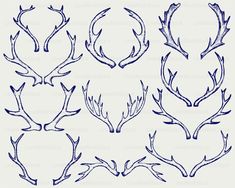 four different types of antlers in blue ink