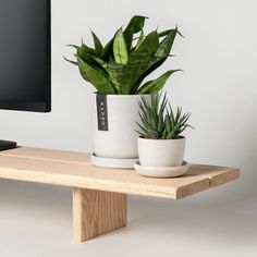 two potted plants sit on a wooden table next to a computer monitor