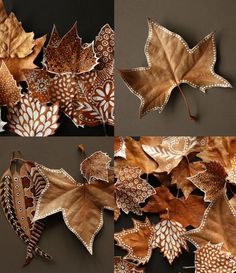 four pictures of different types of leaves with white and brown designs on them, all arranged in the same pattern